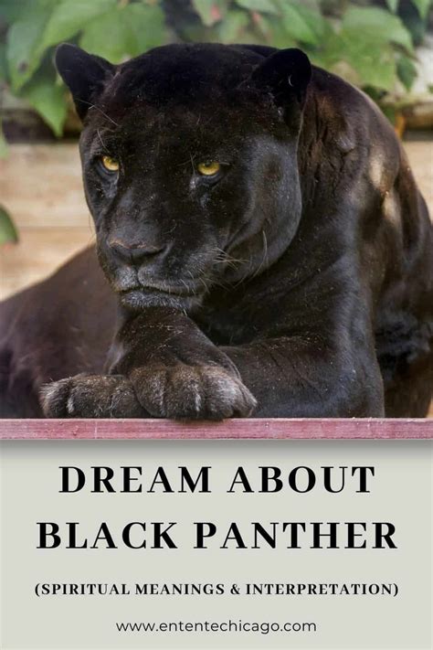 Dreams of Being Chased by a Black Panther: Psychological Interpretation
