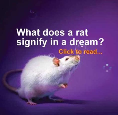 Dreams of Rats: Decoding the Symbolism