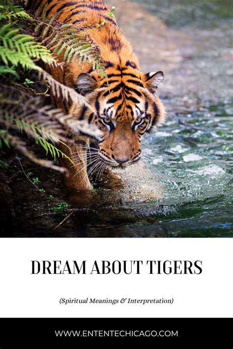 Dreams of Tiger Hunting: Exploring Personal Power