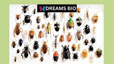 Dreams of Tiny Insects: Decoding Their Significance