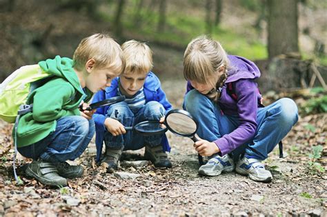 Early Life and Education: Exploring the Background of a Prominent Individual