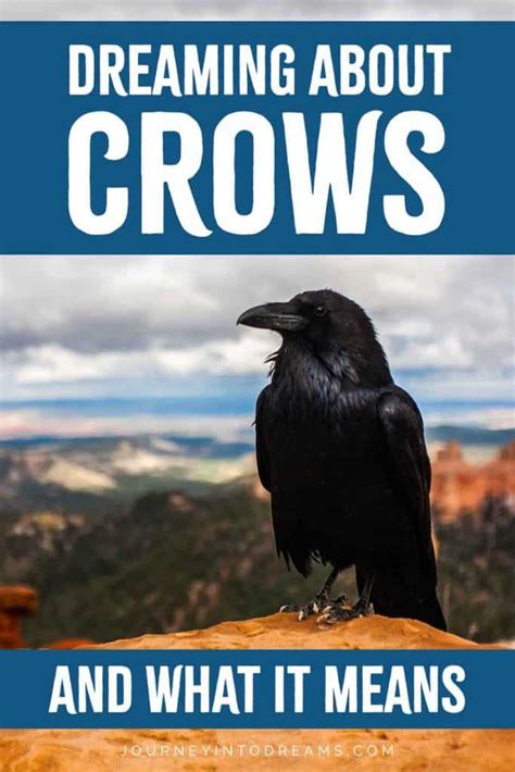 Eating Crow Dreams: Exploring the Deeper Significance