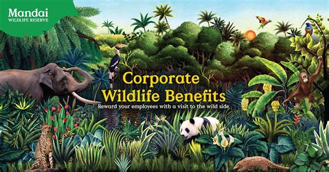 Educational Entertainment: The Benefits of Learning from Wildlife in the Comfort of Your Own Space