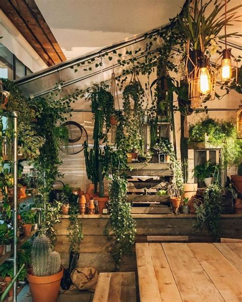 Embracing Nature: The Evolution of Indoor Gardening