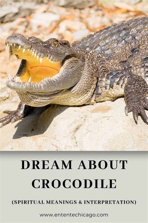 Embracing the Power: Harnessing the Symbolism of Crocodile Dreams