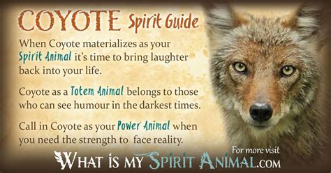 Embracing the Wisdom and Power of the Spirit Animal Revealed as the White Coyote
