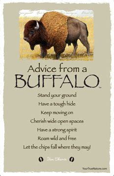 Embracing the Wisdom of the Enigmatic Buffalo Guide in Everyday Life