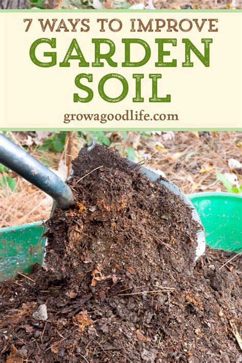 Enhance Your Garden with Tea-Infused Soil