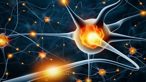Enhancing Brain Flexibility and Neurogenesis