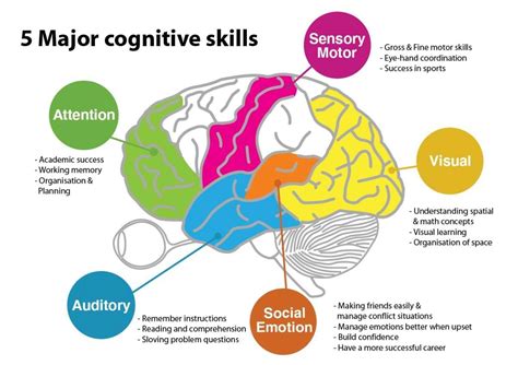 Enhancing Cognitive Functions and Brain Health