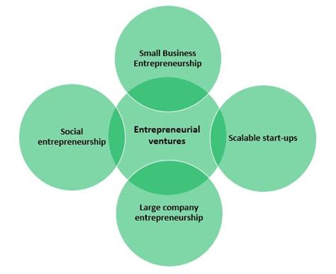 Entrepreneurial Ventures: Preda's Business Ventures and Brand Collaborations