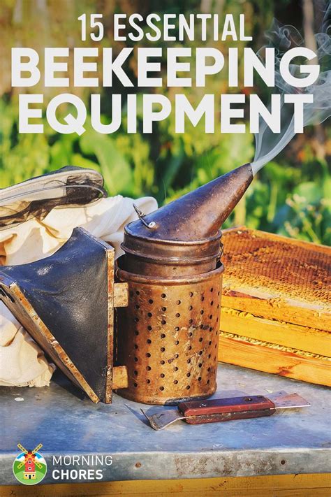 Essential Equipment and Tools for Beekeeping
