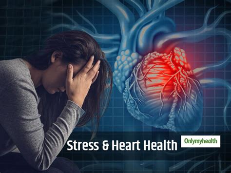 Examining the Impact of Stress, Anxiety, and Dream Patterns on Cardiovascular Health