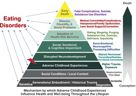 Examining the Influence of Childhood Experiences on Dreams Involving Confrontation with the Father Figure