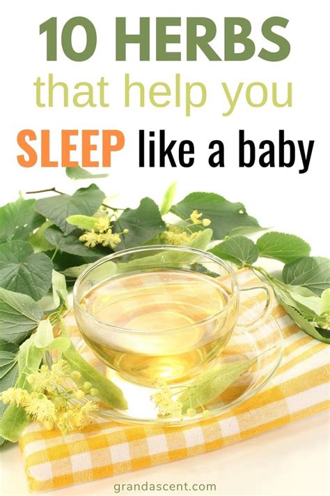 Explore Natural Sleep Aids and Remedies