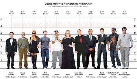 Exploring Celebrities' Height: Surpassing Expectations