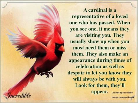 Exploring Different Meanings Behind Dream Encounters with Cardinals