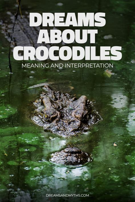 Exploring diverse interpretations of dreams featuring encounters with crocodiles