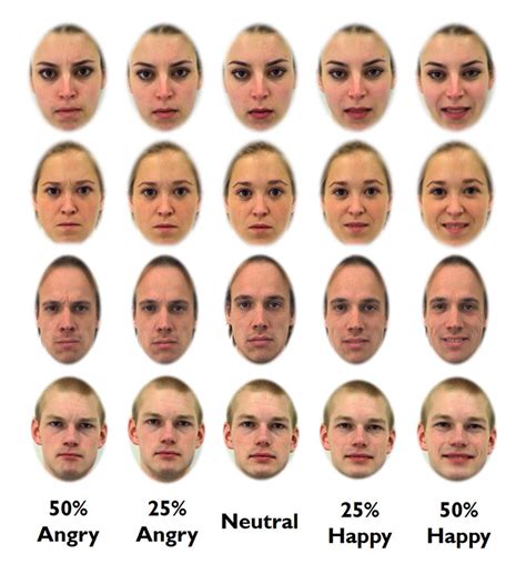 Exploring the Connection Between Dreaming of Familiar Faces and Memory