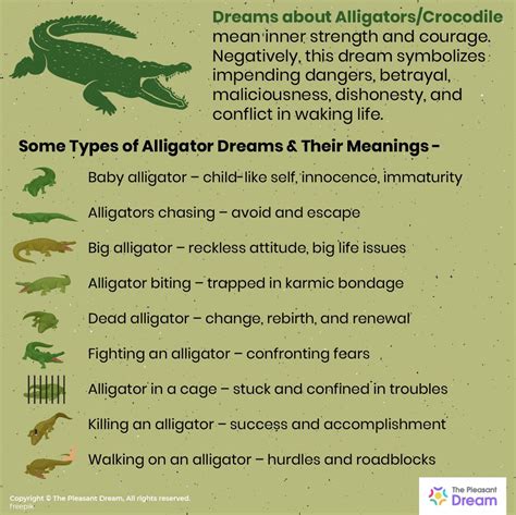 Exploring the Connection between Alligator Dreams and Personal Power