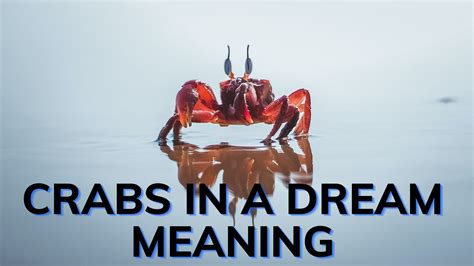 Exploring the Connection between Crab-related Dreams and the Concept of Self-Protection