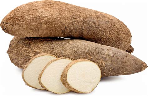 Exploring the Culinary History of Yam: From Ancient Times to Modern Cuisine