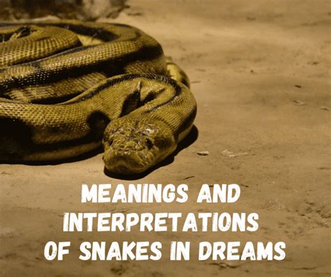 Exploring the Cultural Depictions of Snakes in Dreams