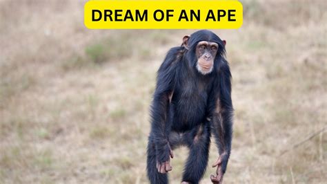 Exploring the Cultural Significance of Ape and Monkey Dreams