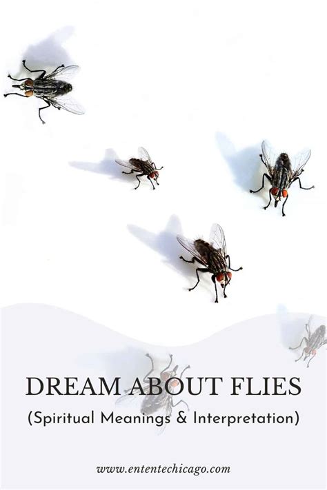 Exploring the Cultural and Historical Significance of Flies in Dream Imagery