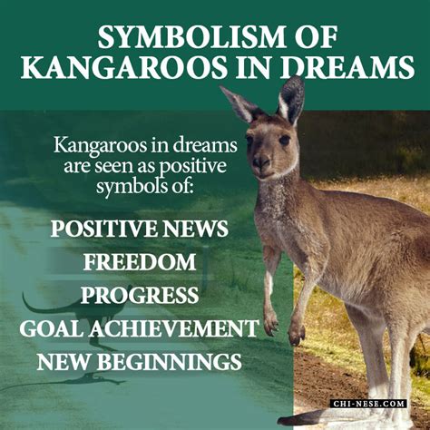 Exploring the Deeper Significance of Kangaroo Chasing Dreams: Unveiling Hidden Symbolism 
