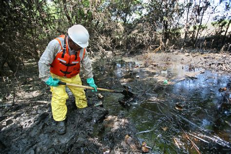 Exploring the Dread of Dirt and Contamination