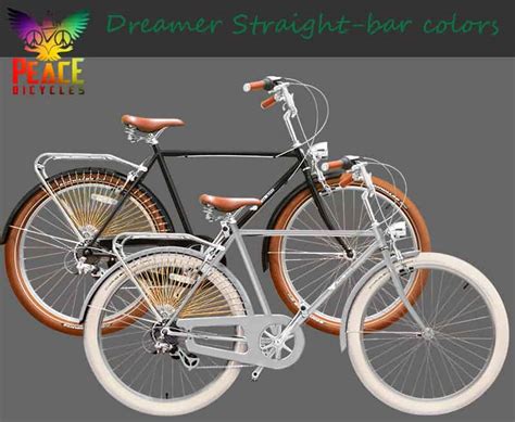 Exploring the Dreamer's Connection with Bicycles