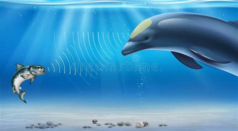 Exploring the Enigma of Dolphin Echolocation: Unveiling the Wonders of Soundscape Perception