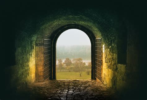 Exploring the Enigma of a Bizarre Supernatural Gateway in a Dream