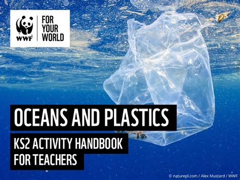Exploring the Impact of Plastic Pollution on Dream Patterns