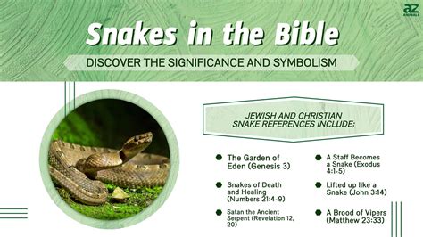 Exploring the Meaning and Significance of Snake Encounter in One's Digestive System