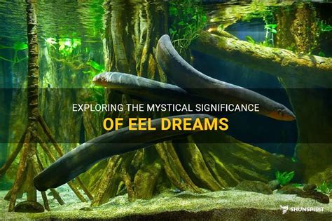 Exploring the Mystical Significance of Eels in Dreams