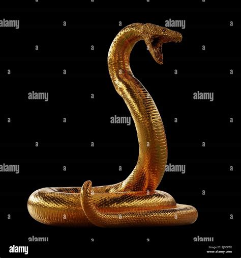 Exploring the Possible Significances of a Golden Serpent within the Confines of One's Dwelling