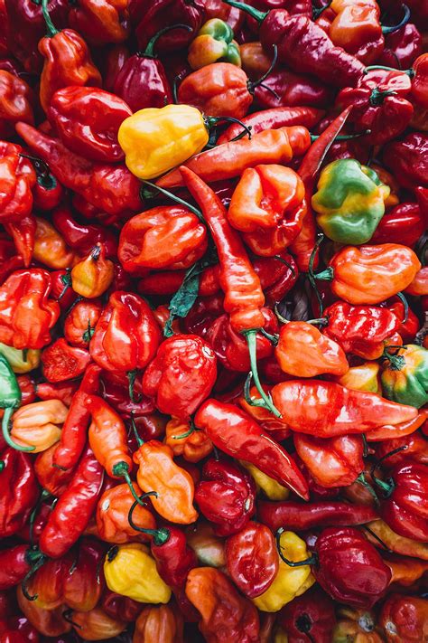 Exploring the Psychological Impact of Fiery Foods and the Chili Pepper