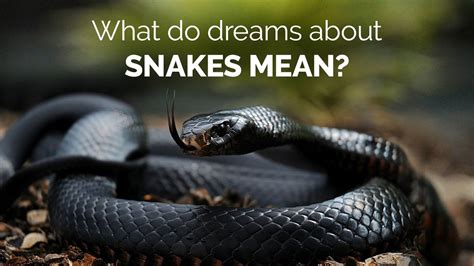 Exploring the Psychological Interpretation of Snake-Killing Dreams