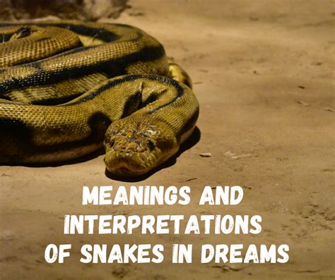 Exploring the Psychological Interpretations of Dreaming about Multiple Serpents