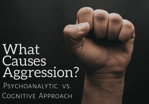 Exploring the Psychological Perspectives on Aggressive Fantasies