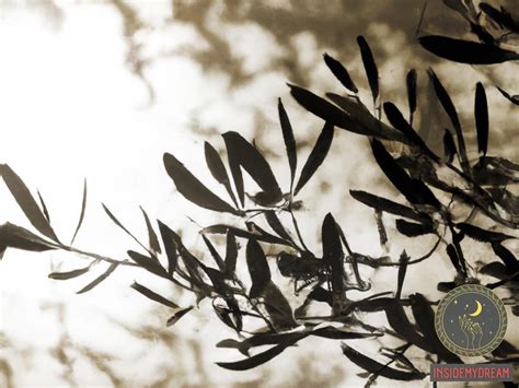 Exploring the Psychological Significance of Accidentally Spilling Olive Oil in Dreams