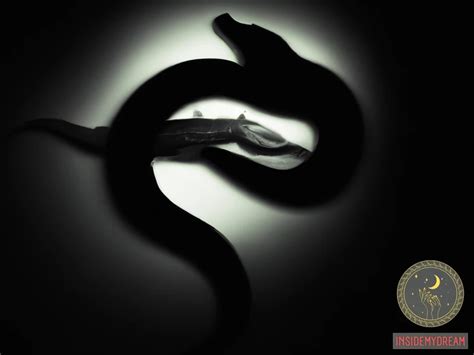 Exploring the Psychological Significance of Serpent Nightmares