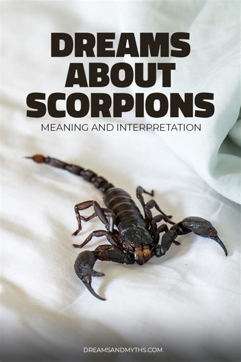 Exploring the Psychological and Emotional Significance of Dreams Involving Scorpions