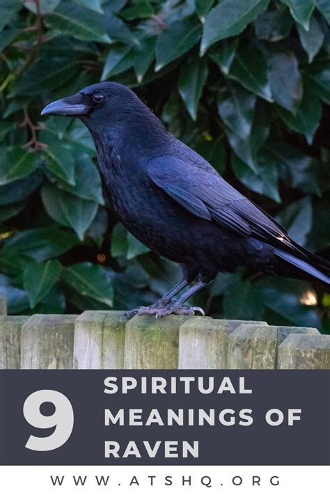 Exploring the Significance of Raven's Demise: Unveiling the Meaning behind Ebony Avians in One's Sleep