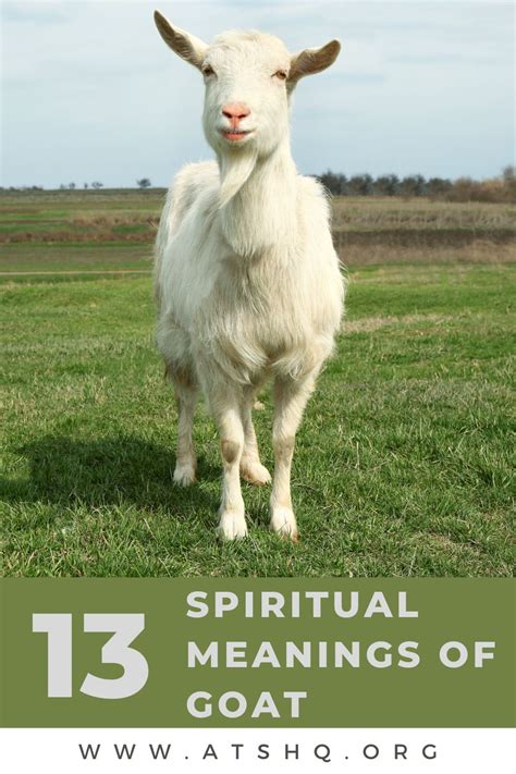 Exploring the Spiritual Meanings Behind Goat Dreams: Unveiling the Deeper Significance