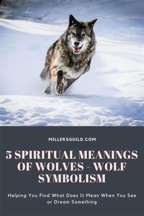 Exploring the Spiritual Meanings of Wolves: A Deep Dive into Their Connection to Spirituality