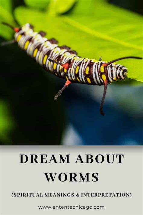 Exploring the Spiritual and Metaphysical Interpretations of Dreams Involving Worms