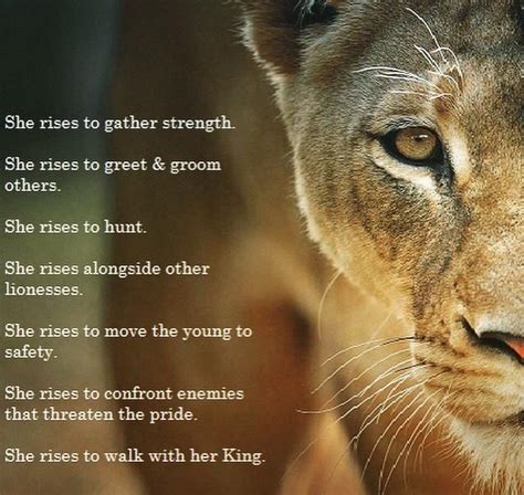 Exploring the Strength and Symbolism of the Lioness Archetype